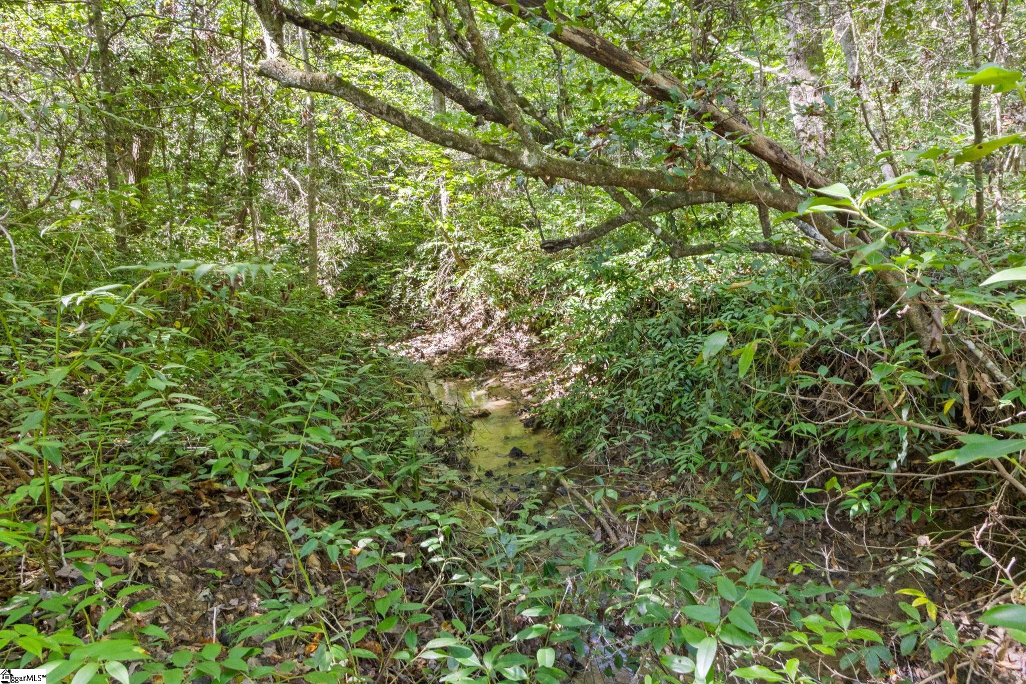 313 Arledge Road Landrum, SC 29356 - Photo 21 of 25