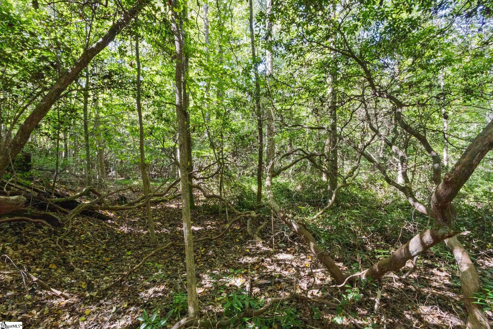 313 Arledge Road Landrum, SC 29356 - Photo 22 of 25