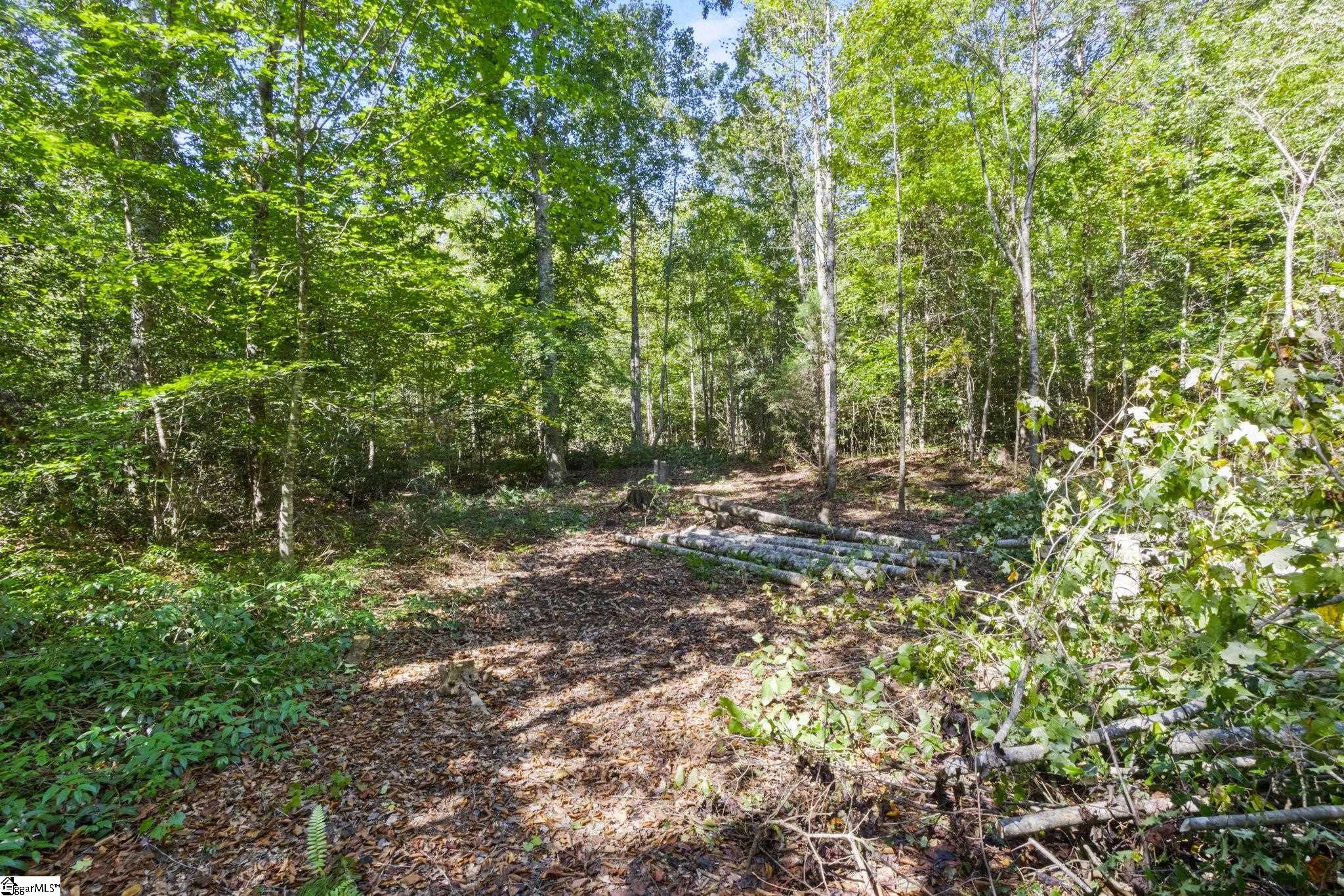 313 Arledge Road Landrum, SC 29356 - Photo 23 of 25