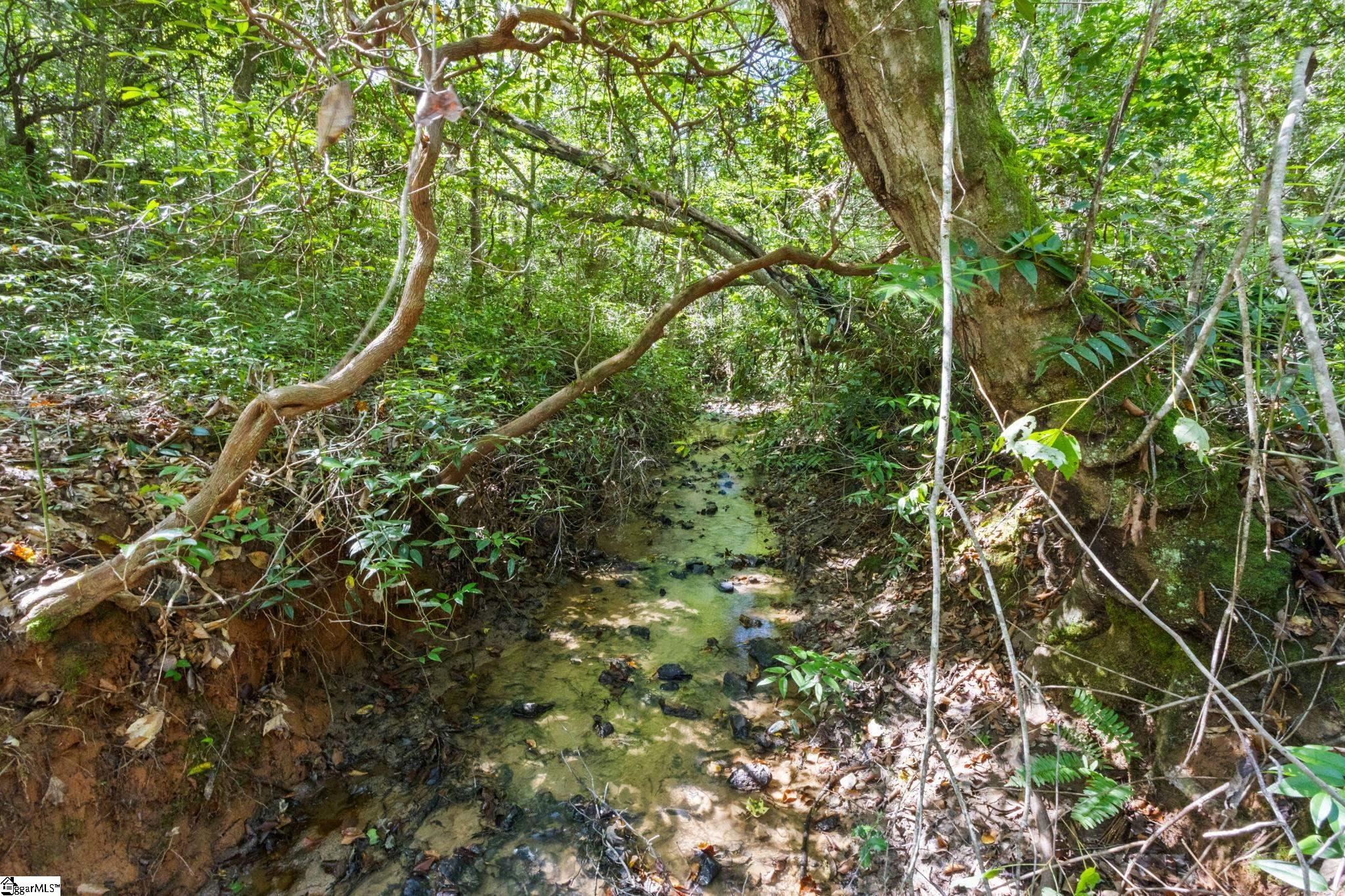 313 Arledge Road Landrum, SC 29356 - Photo 25 of 25
