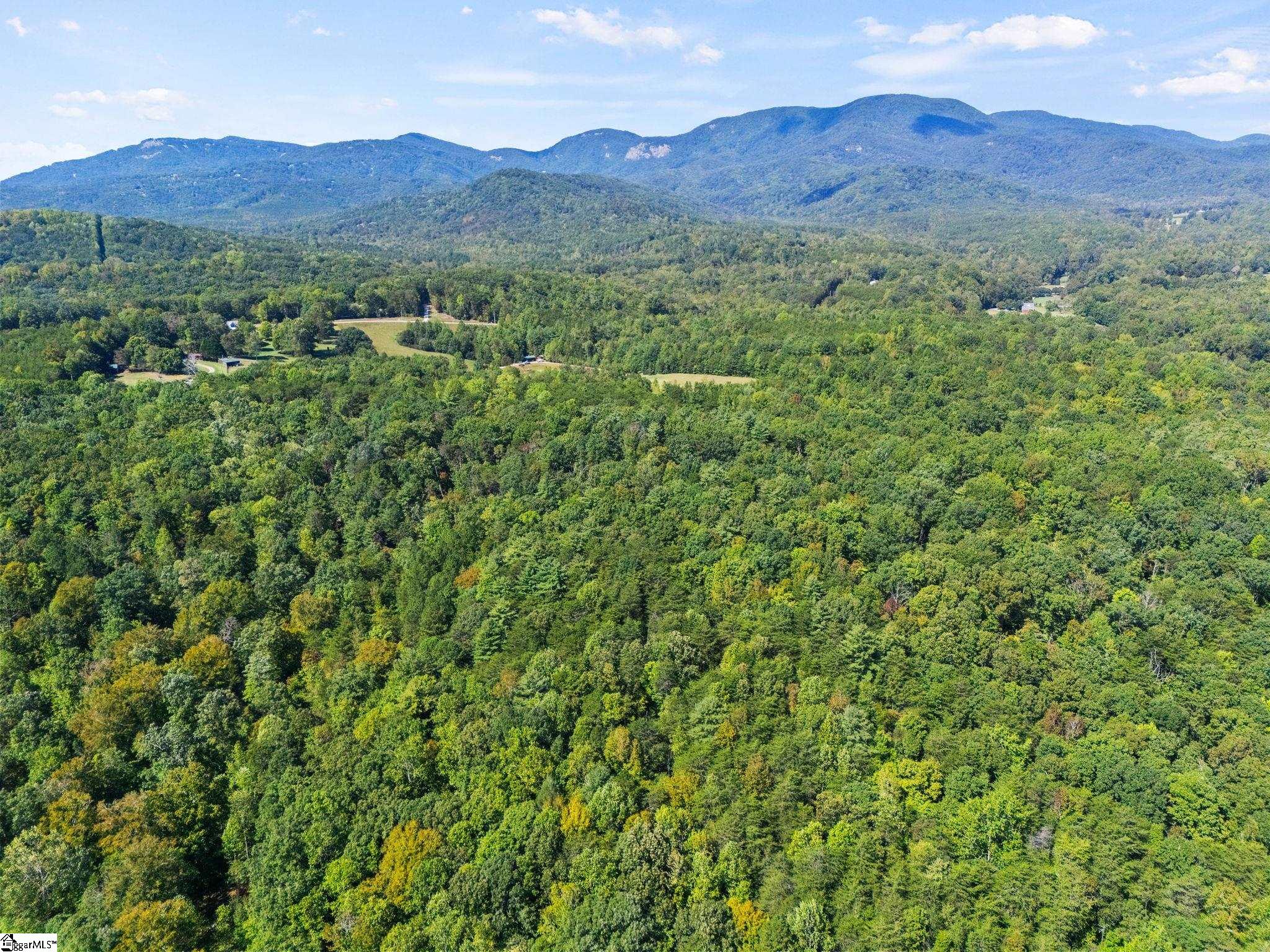 313 Arledge Road Landrum, SC 29356 - Photo 3 of 25