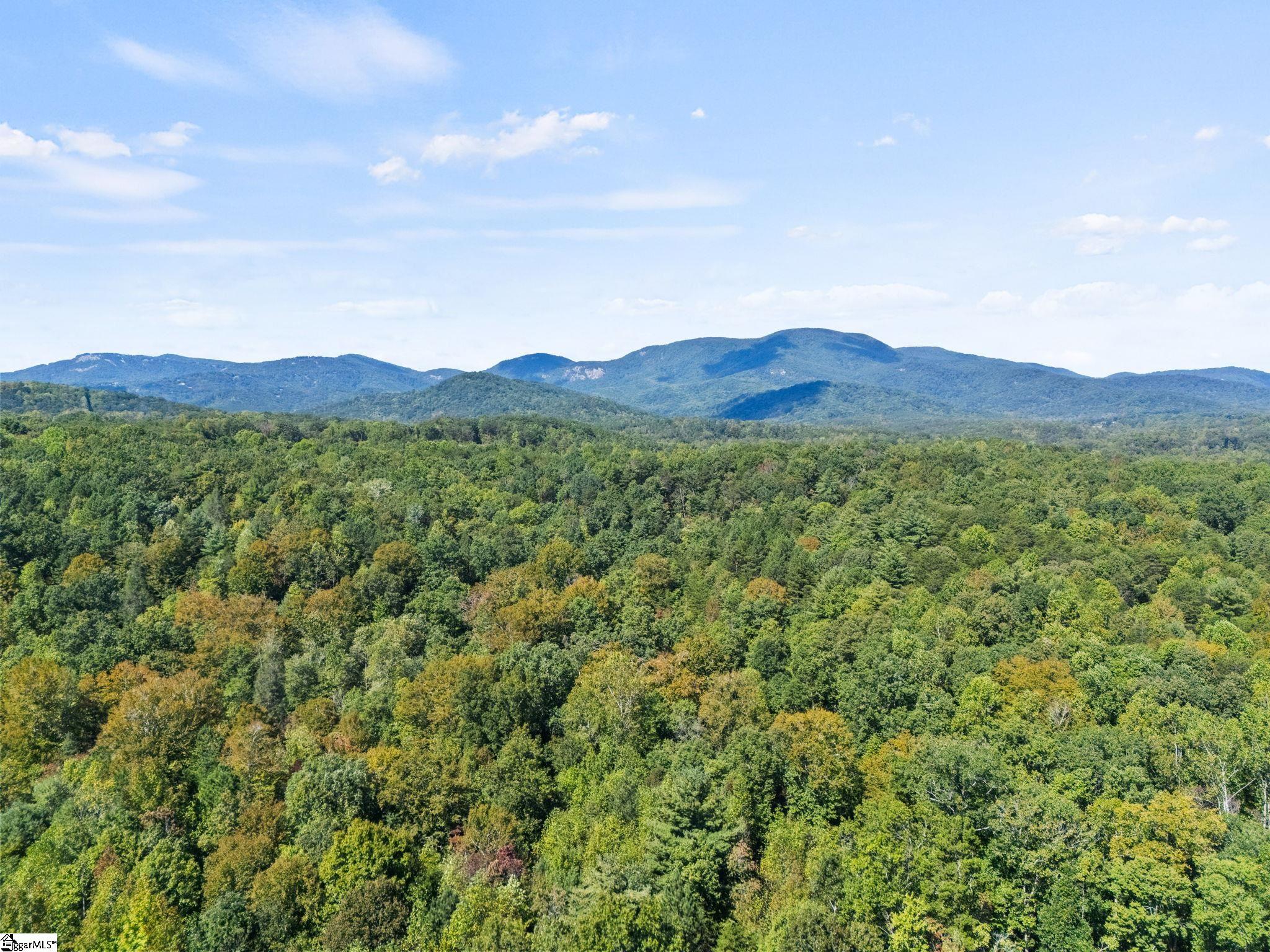 313 Arledge Road Landrum, SC 29356 - Photo 4 of 25