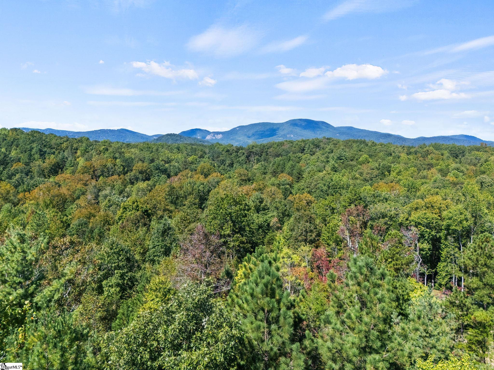 313 Arledge Road Landrum, SC 29356 - Photo 5 of 25