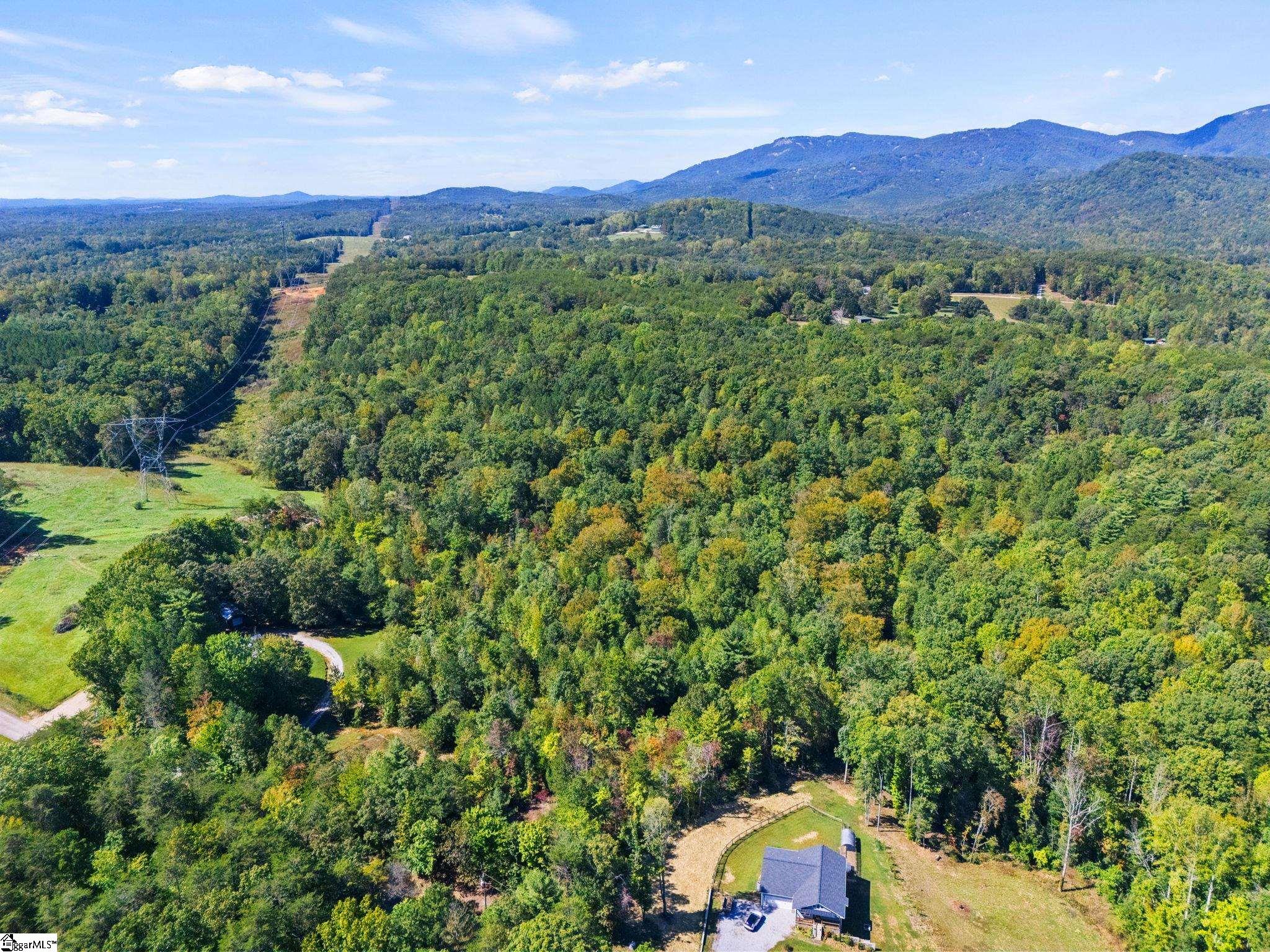 313 Arledge Road Landrum, SC 29356 - Photo 6 of 25