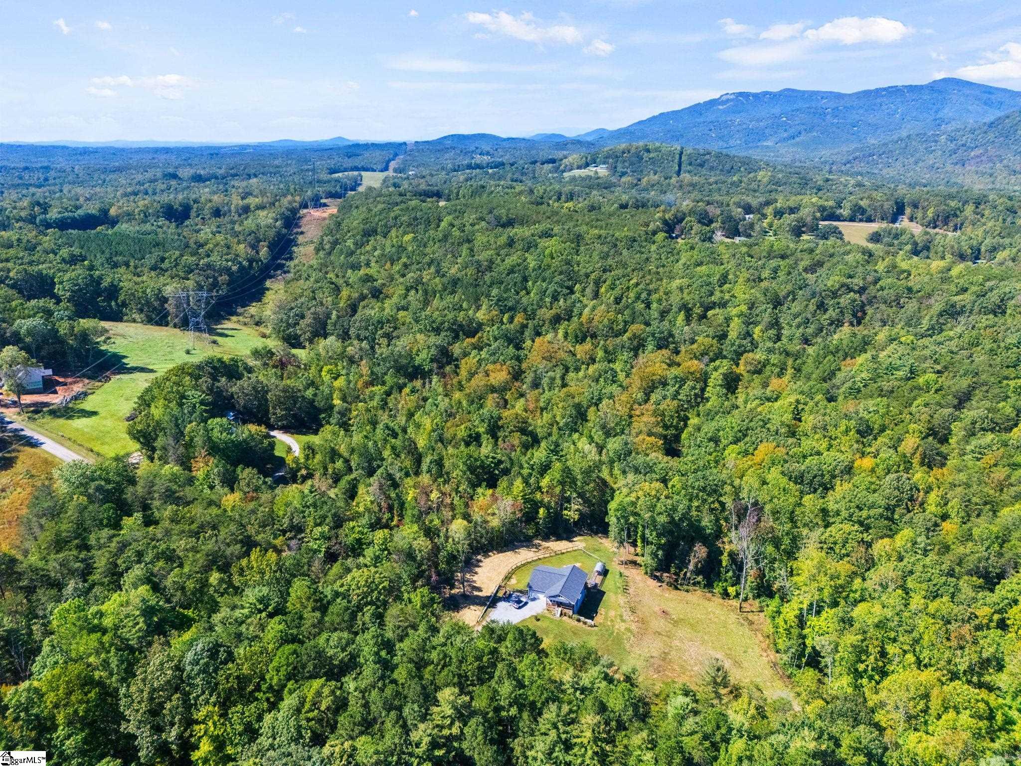 313 Arledge Road Landrum, SC 29356 - Photo 7 of 25