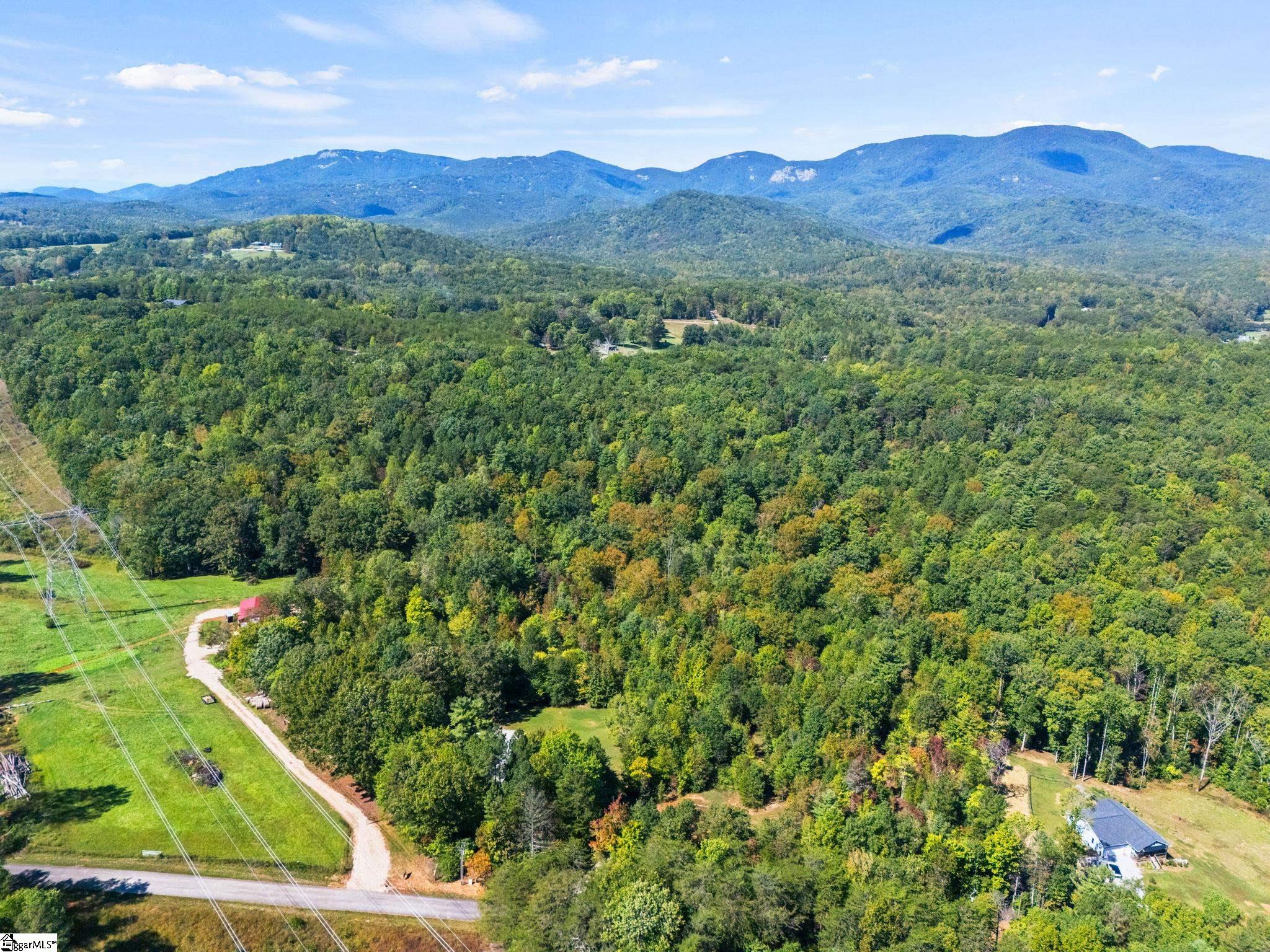 313 Arledge Road Landrum, SC 29356 - Photo 8 of 25