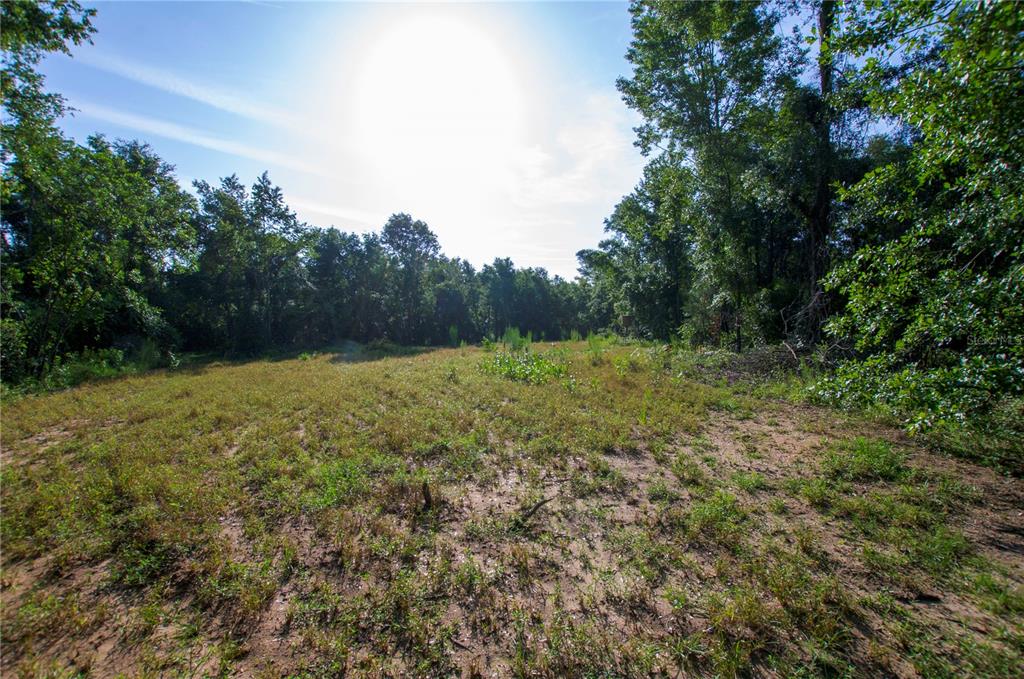 18233 185th Road Live Oak, FL 32060 - Photo 62 of 99