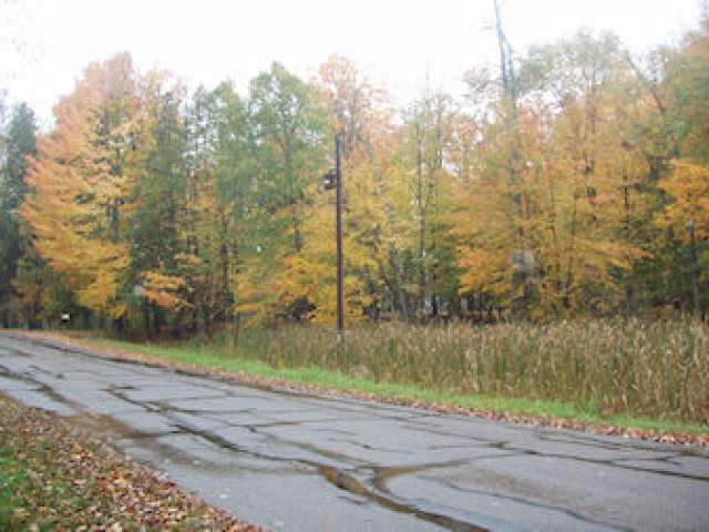 On On Nehiba Rd Park Falls Butternut, WI 54514 - Photo 5 of 6 Gallery Image 5
