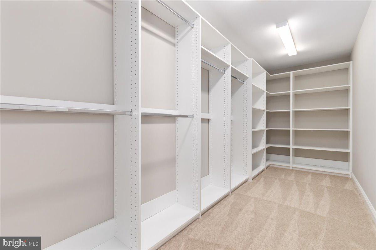 13612 Ryton Ridge Lane Gainesville, VA 20155 - Photo 48 of 76 Enormous closets in every bedroom!