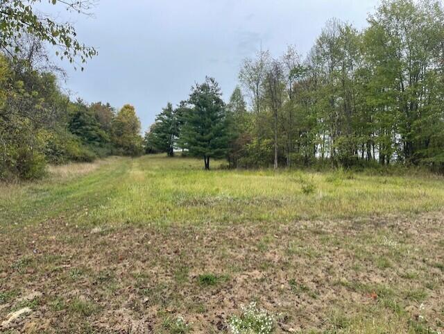13155 Stoney Point Road New Concord, OH 43762 - Photo 1 of 2 Photo