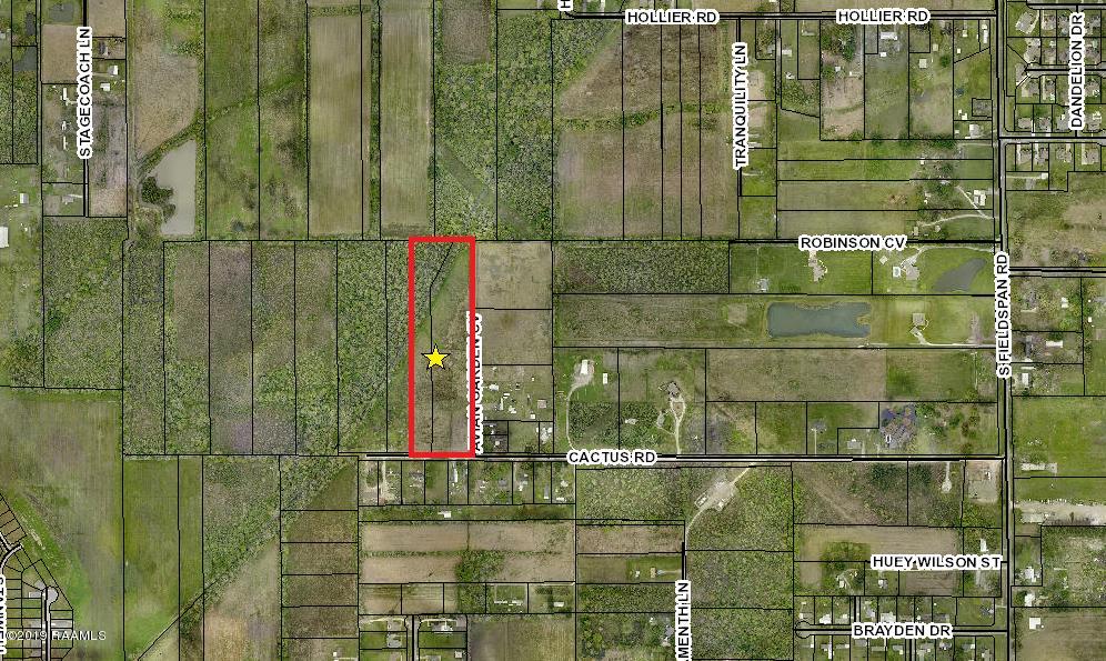 Tbd 400-blk Tbd 400-blk Cactus Road Duson, LA 70529 - Photo 8 of 8