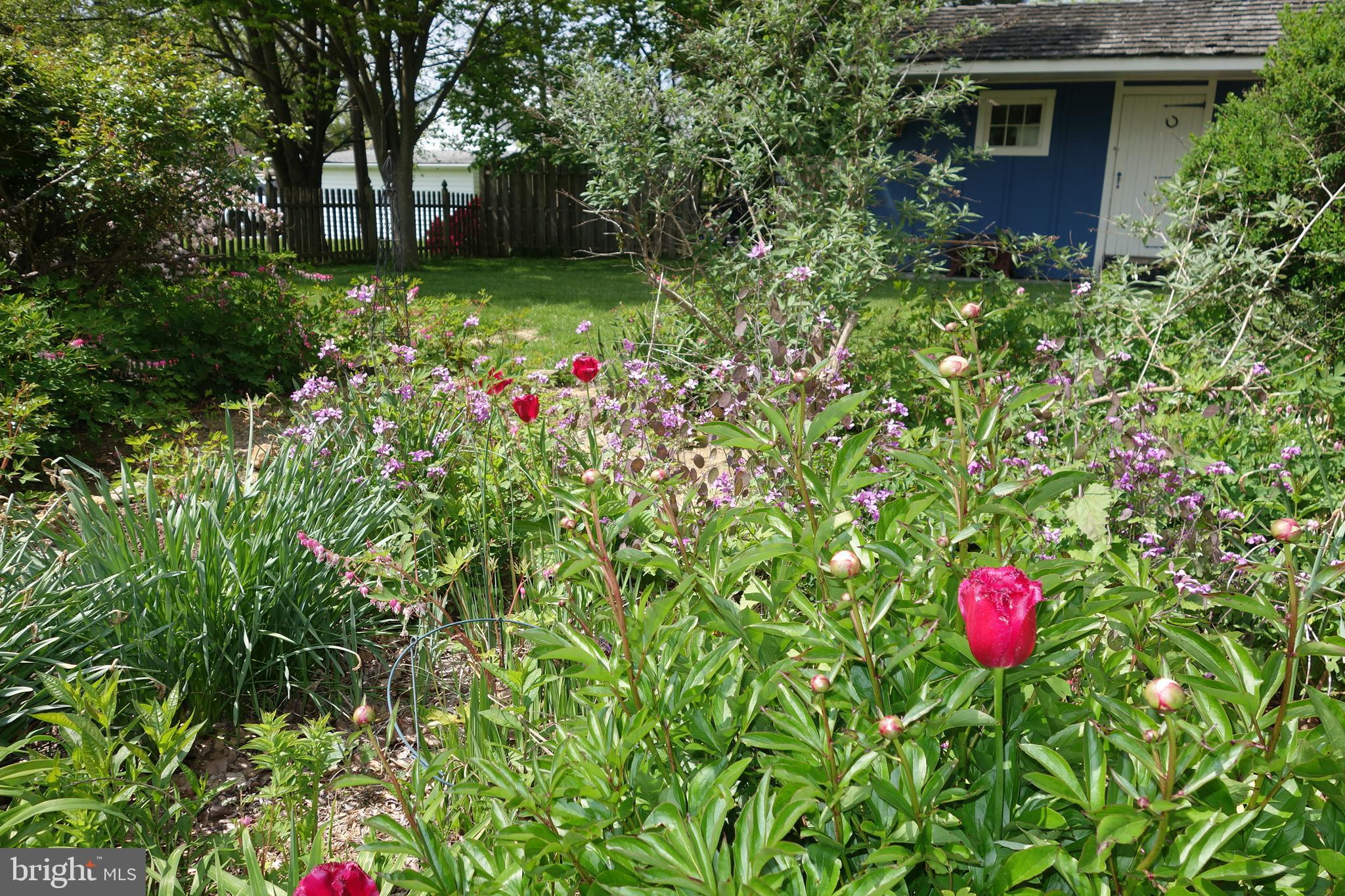 100 Walker Road Landenberg, PA 19350 - Photo 12 of 43 Flowers just coming out