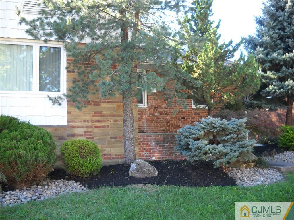 6 Gurley Road Edison, NJ 08817 - Photo 2 of 15 a view of a backyard with potted plants and large trees