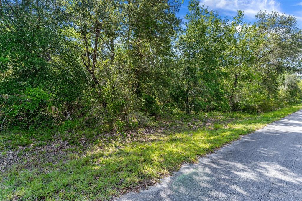 Southwest Shasta Court Dunnellon, FL 34431 - Photo 1 of 9