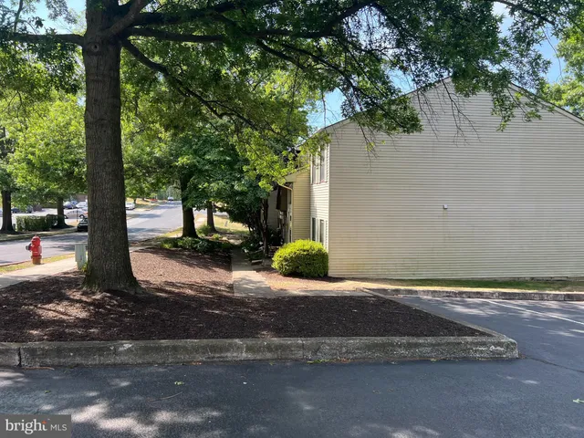 a white house that has a tree in front of it