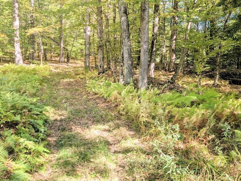 237 Halls Pond Road Charlestown, NH 03603 - Photo 10 of 12 Gallery Image 10