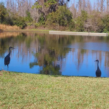 a view of a garden with a house in the background