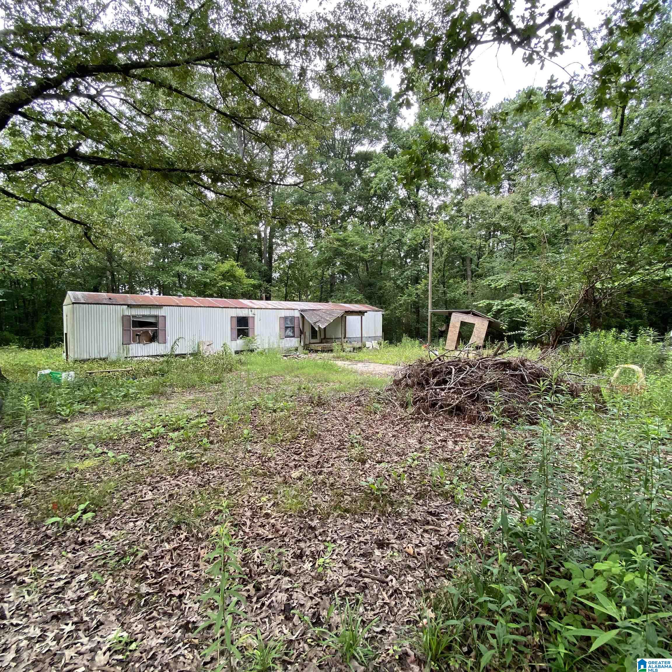 51 Taft Road Ashville, AL 35953 - Photo 7 of 12