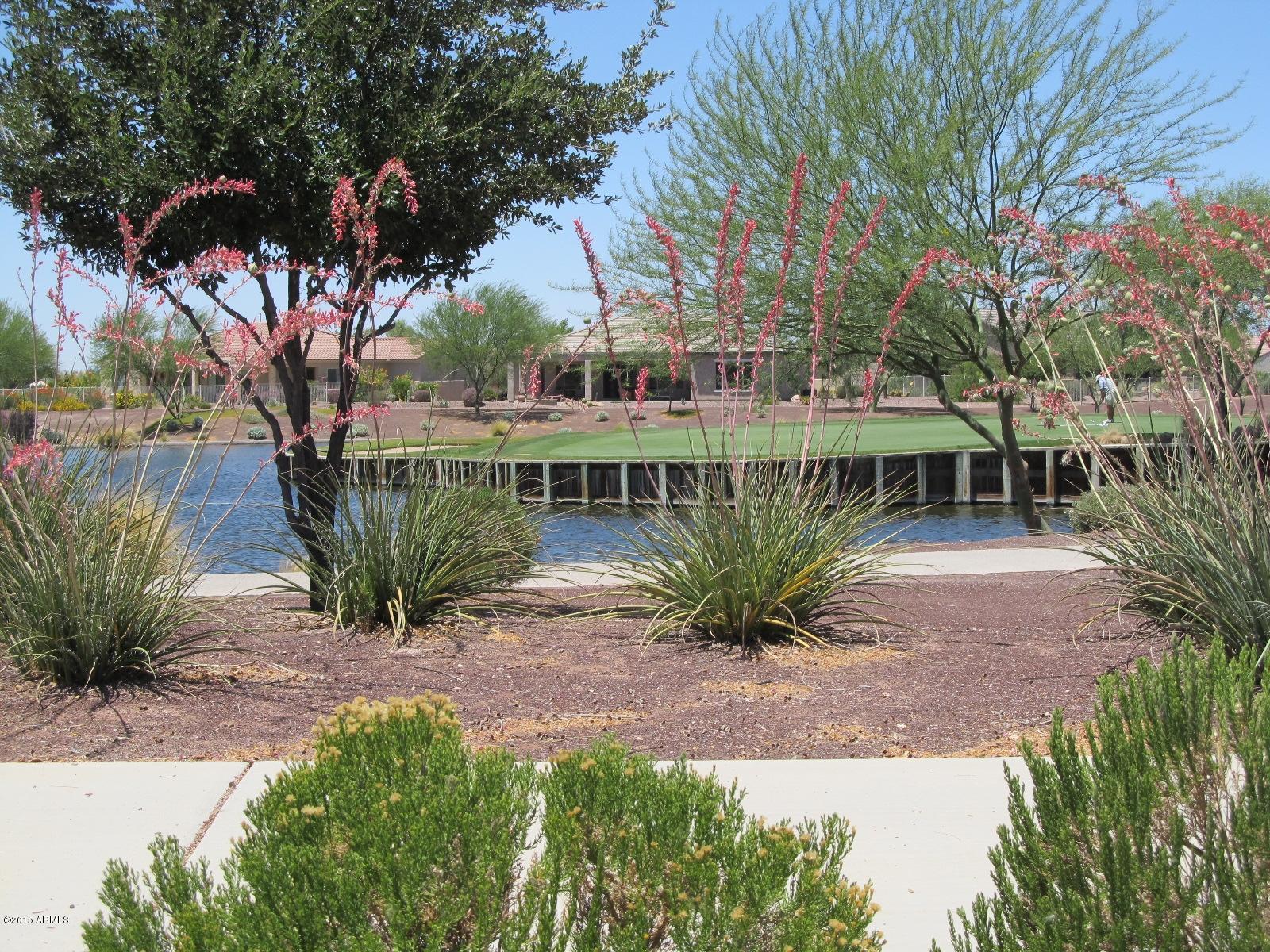 7705 West Springfield Way Florence, AZ 85132 - Photo 37 of 43 17 island green