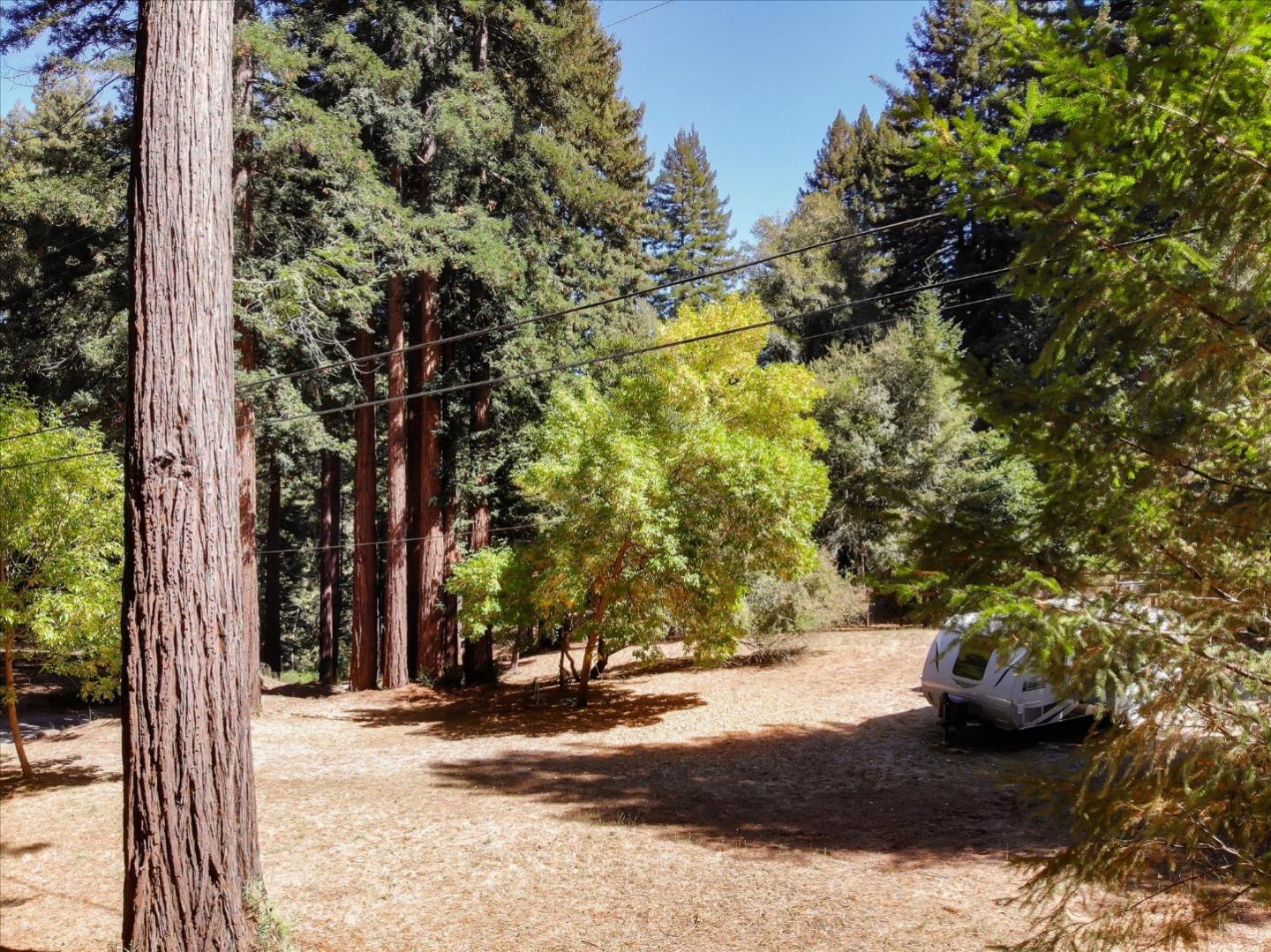 355 McKee Road Felton, CA 95018 - Photo 67 of 71 a view of a tree in front of a house