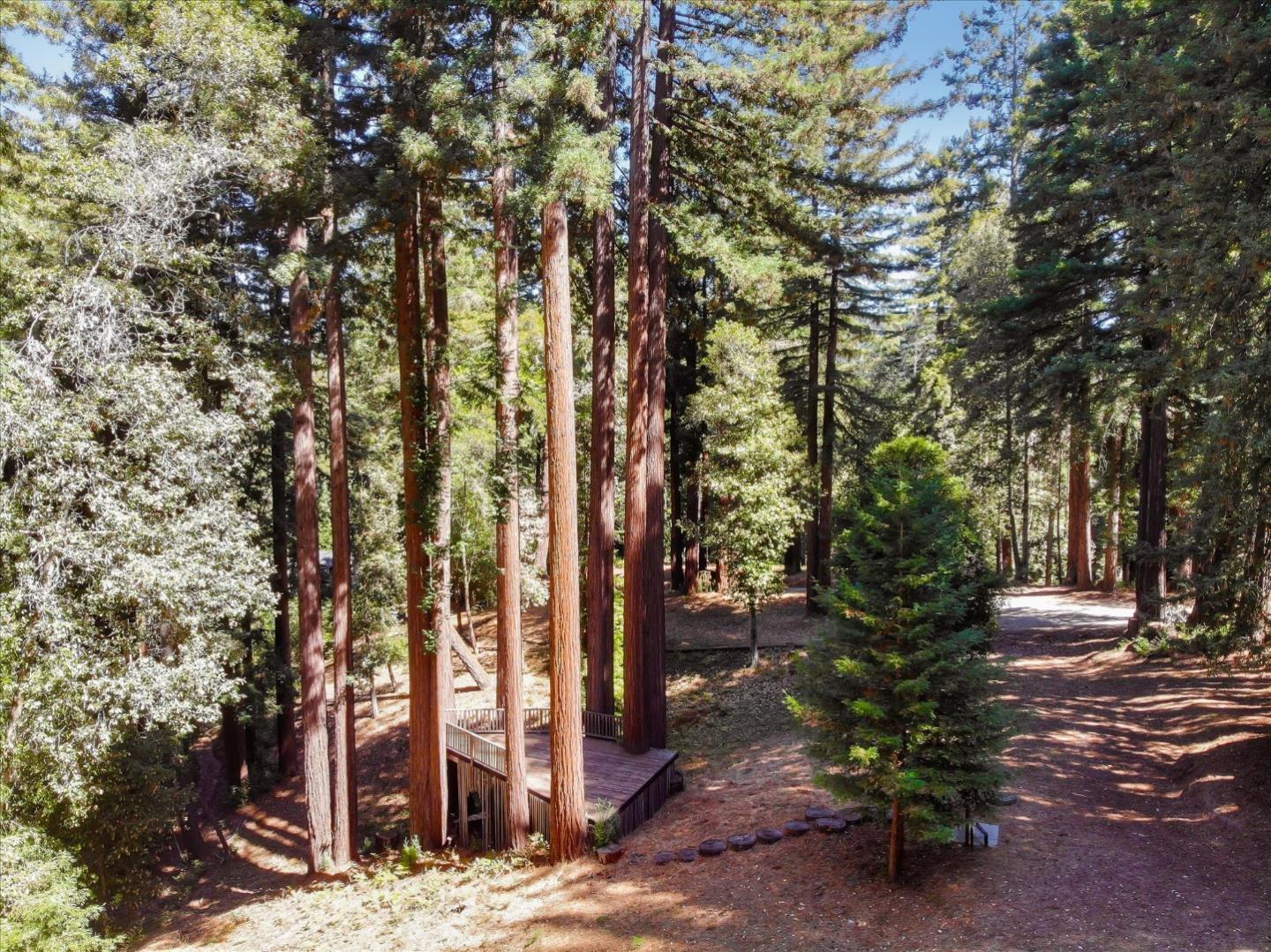 355 McKee Road Felton, CA 95018 - Photo 68 of 71 a view of outdoor space with trees