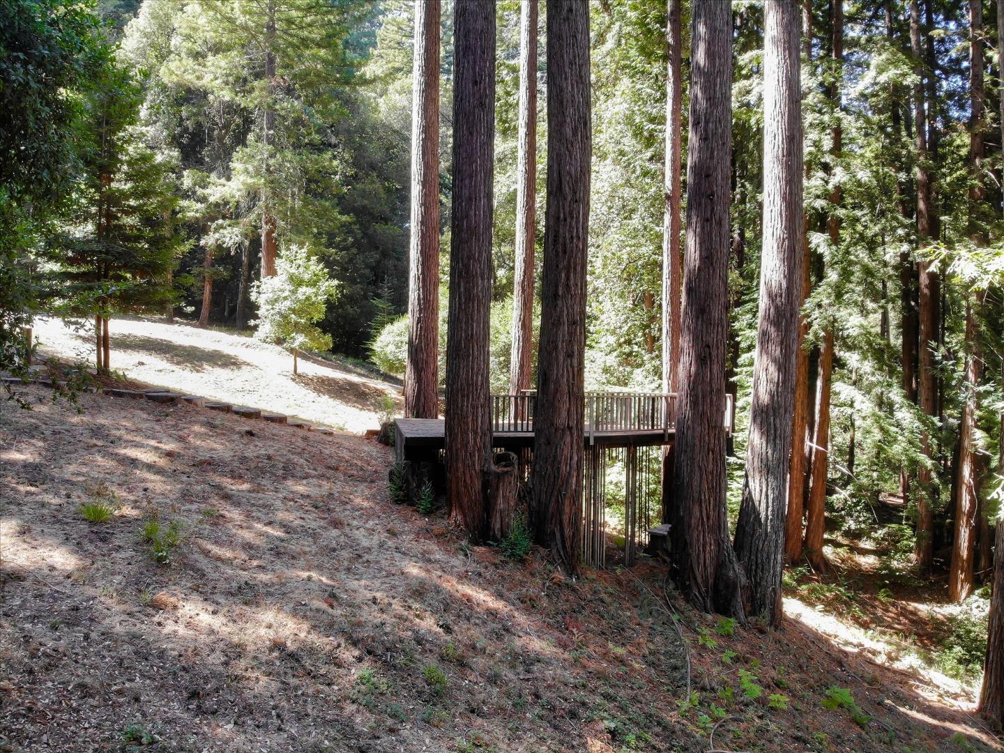 355 McKee Road Felton, CA 95018 - Photo 69 of 71 a view of a yard with plants and large trees