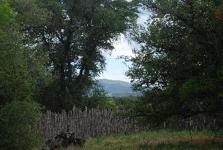 Property views
