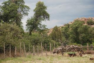 Fencing