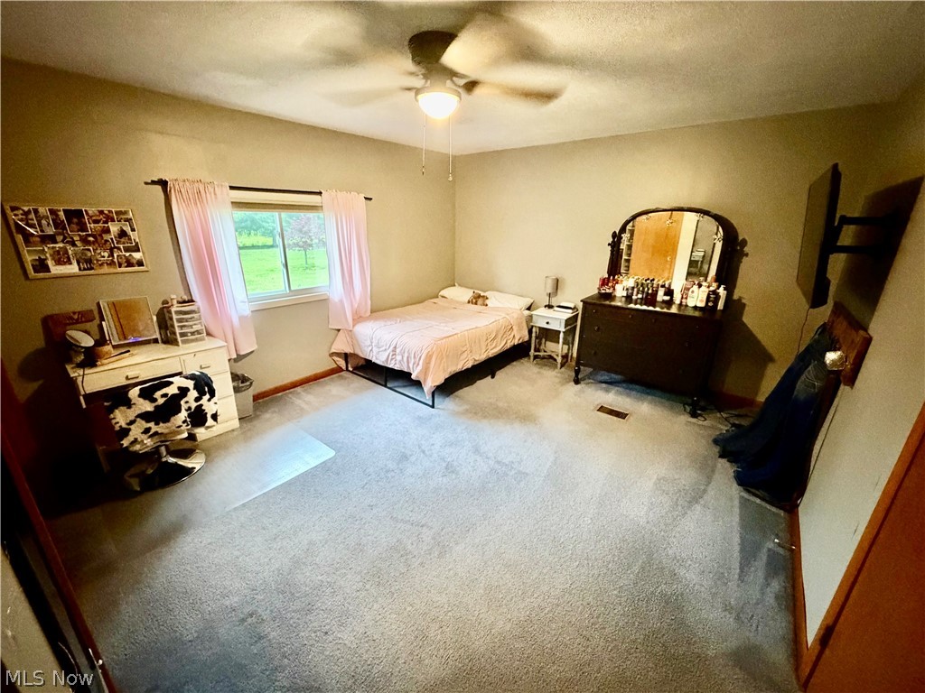 6852 Graham Road Pierpont, OH 44082 - Photo 19 of 45