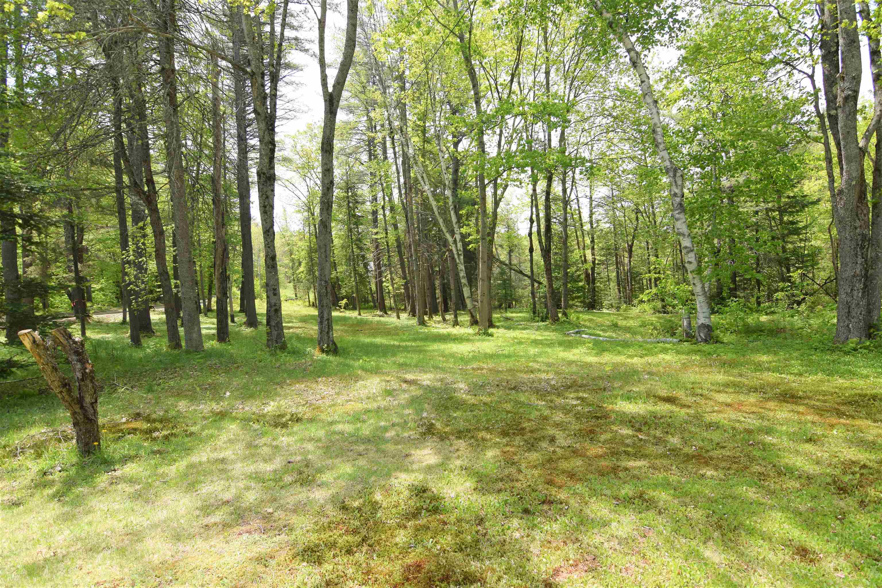 324 Stagecoach Road Sunapee, NH 03782 - Photo 12 of 29 Gallery Image 12