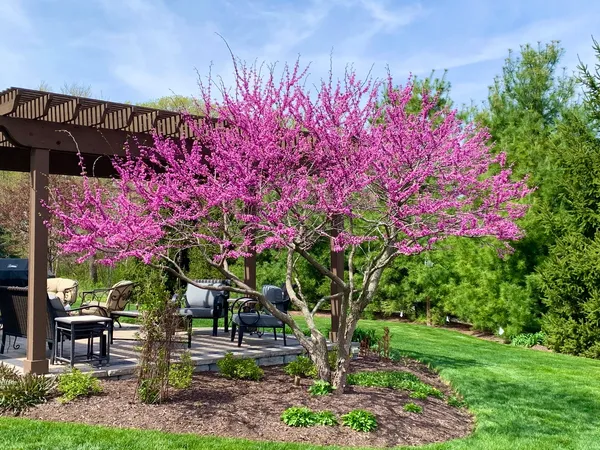 $775,000 | 40-w898 Fox Creek Drive, St. Charles, IL 60175