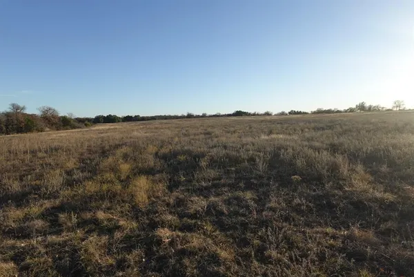 a view of an ocean beach