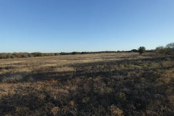a view of a field of grass and trees