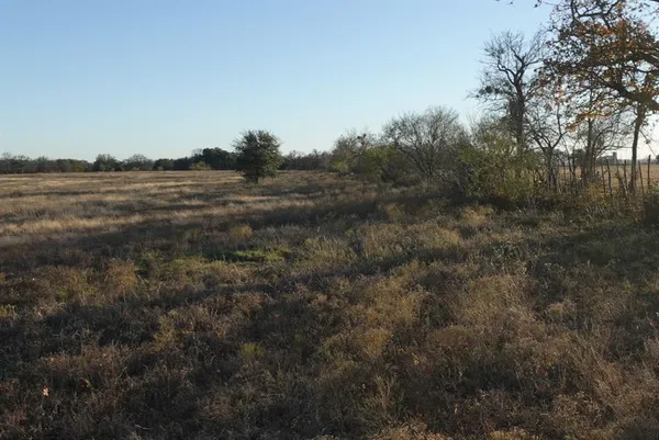 a view of a field of grass and trees