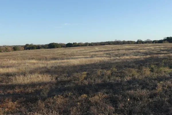 a view of a lake in middle of forest