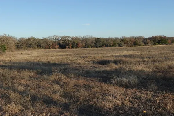 a view of a lake with a yard