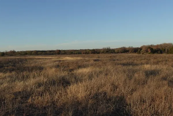 a view of a dry yard