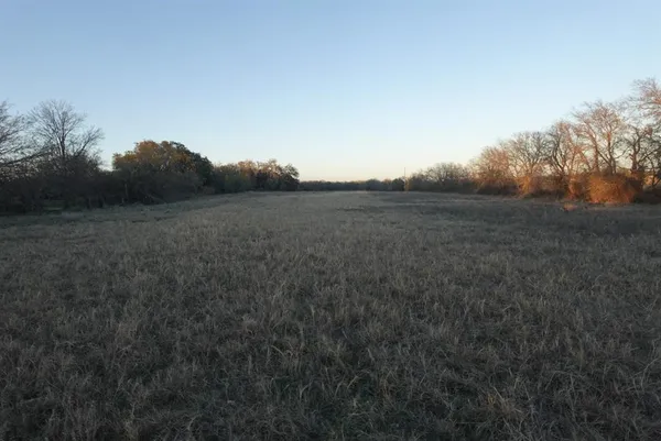 a backyard of a house with lots of trees