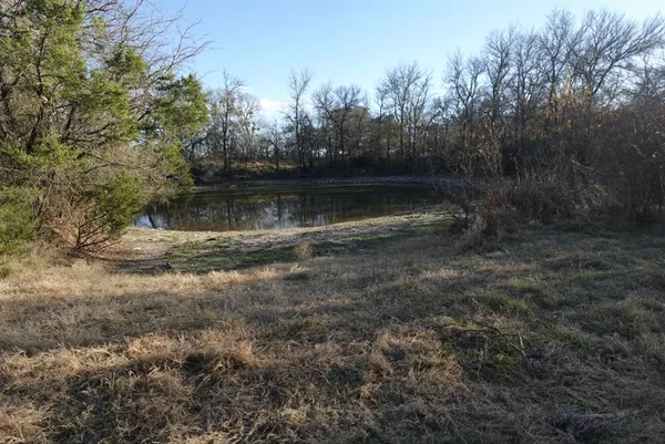 a view of a forest with trees