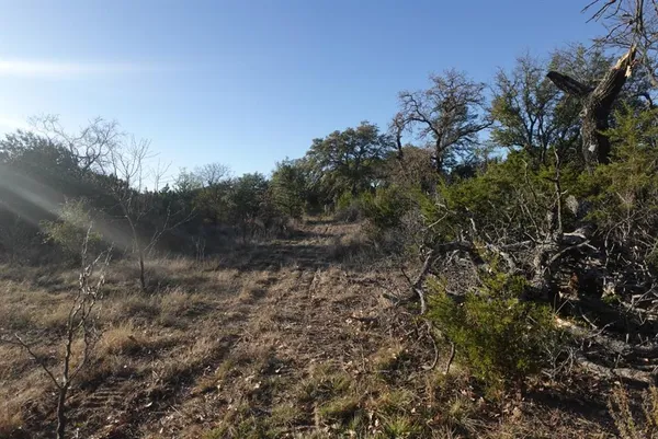 a view of outdoor space and trees