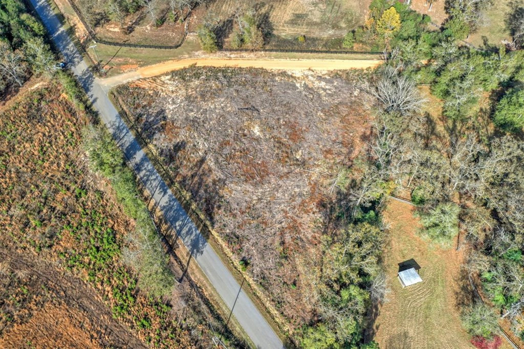 0 Flowing Well Road Wagener, SC 29164 - Photo 11 of 12
