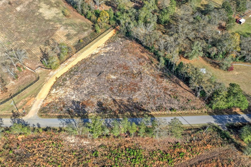 0 Flowing Well Road Wagener, SC 29164 - Photo 12 of 12