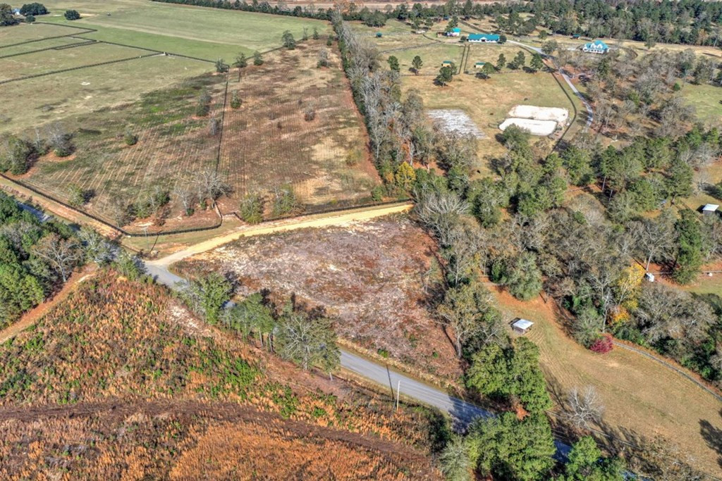 0 Flowing Well Road Wagener, SC 29164 - Photo 3 of 12