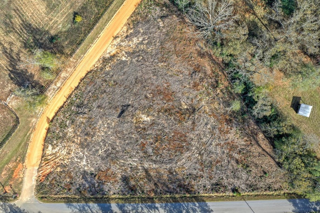 0 Flowing Well Road Wagener, SC 29164 - Photo 4 of 12