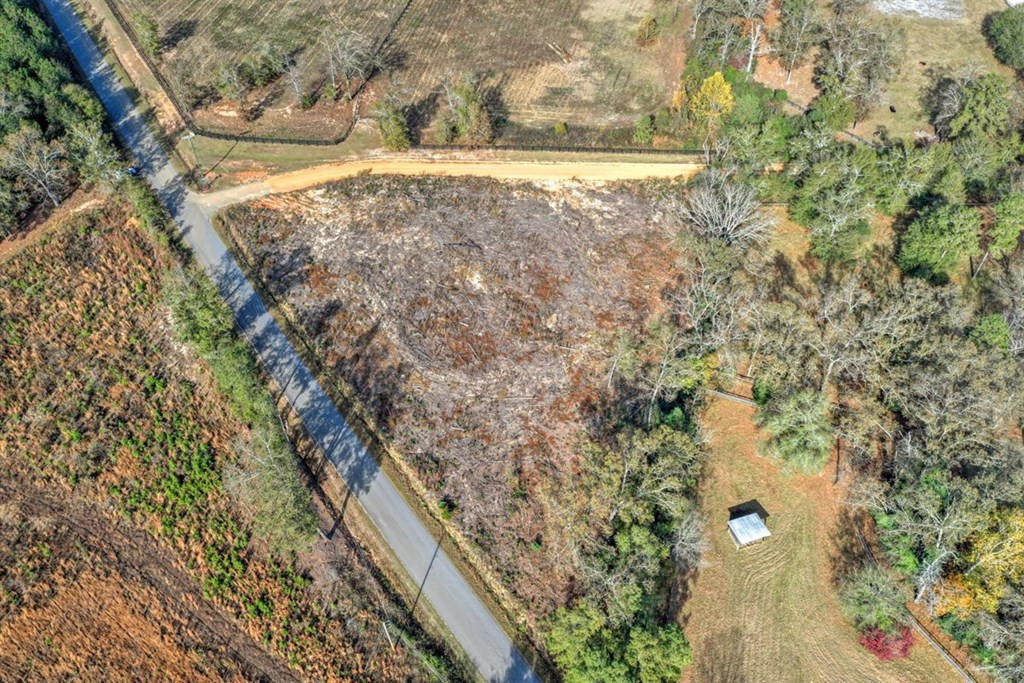 0 Flowing Well Road Wagener, SC 29164 - Photo 5 of 12