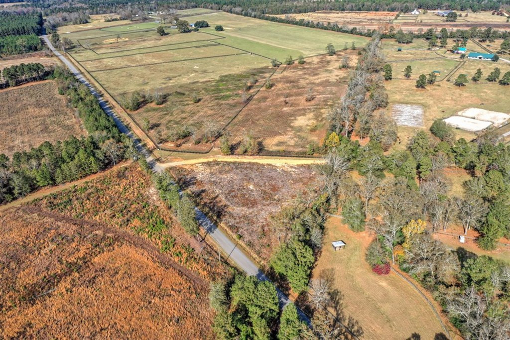 0 Flowing Well Road Wagener, SC 29164 - Photo 6 of 12