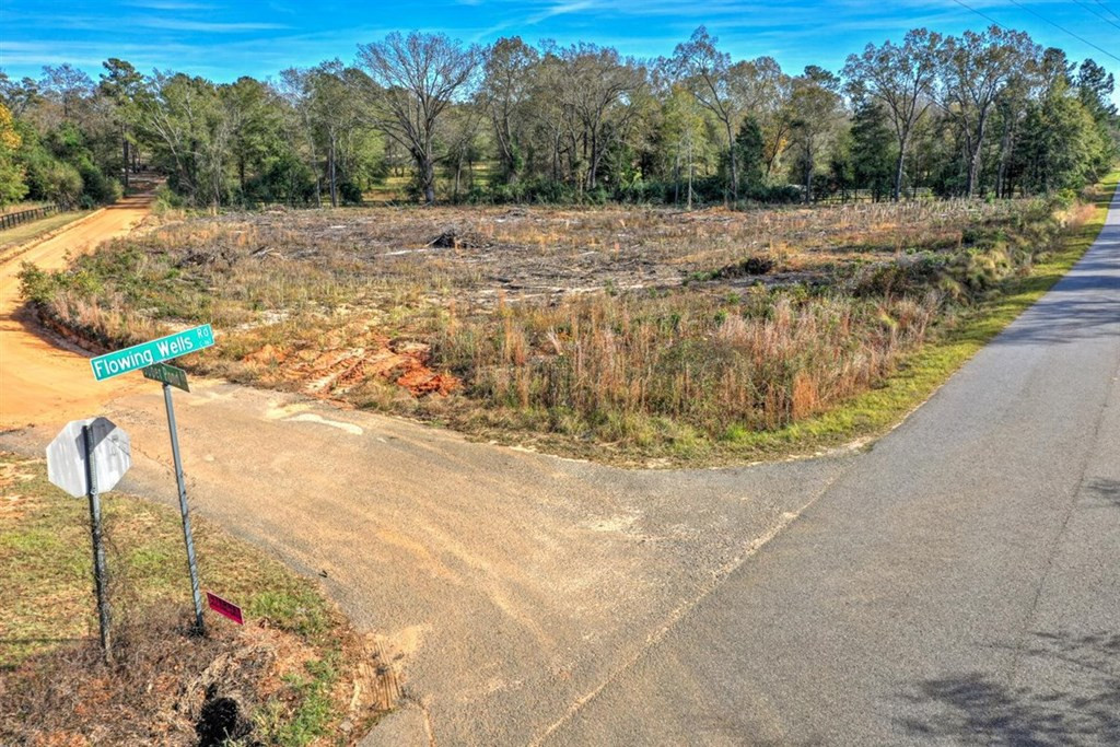 0 Flowing Well Road Wagener, SC 29164 - Photo 7 of 12