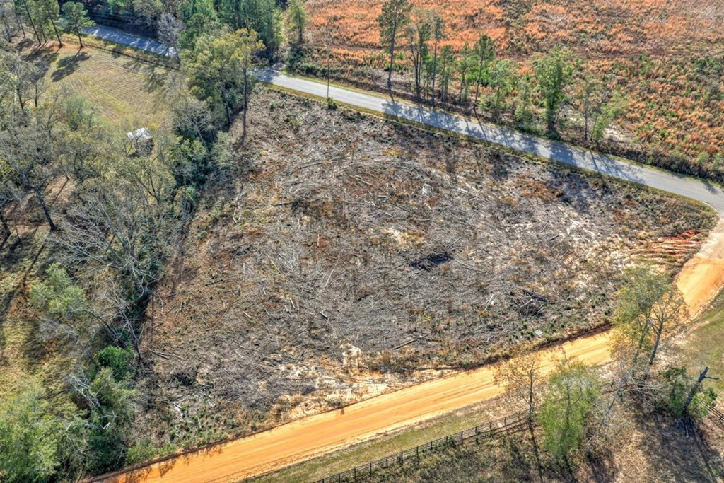 0 Flowing Well Road Wagener, SC 29164 - Photo 8 of 12