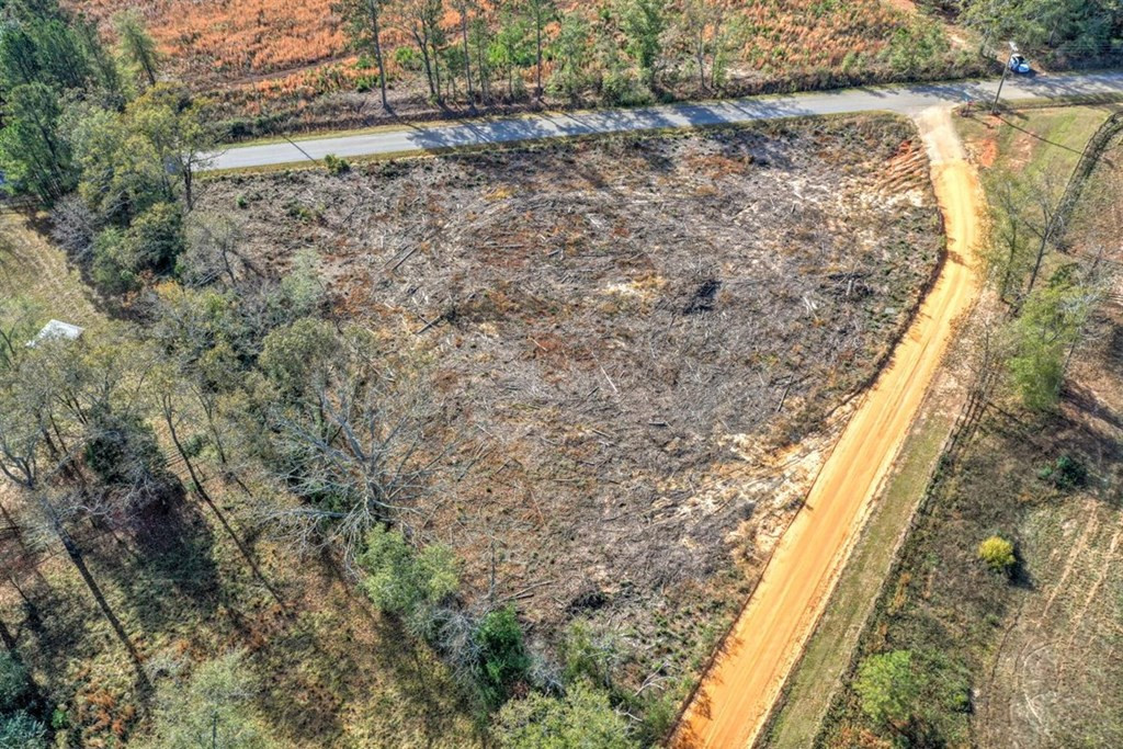 0 Flowing Well Road Wagener, SC 29164 - Photo 9 of 12