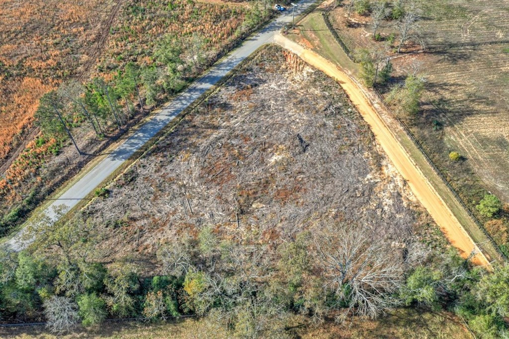0 Flowing Well Road Wagener, SC 29164 - Photo 10 of 12